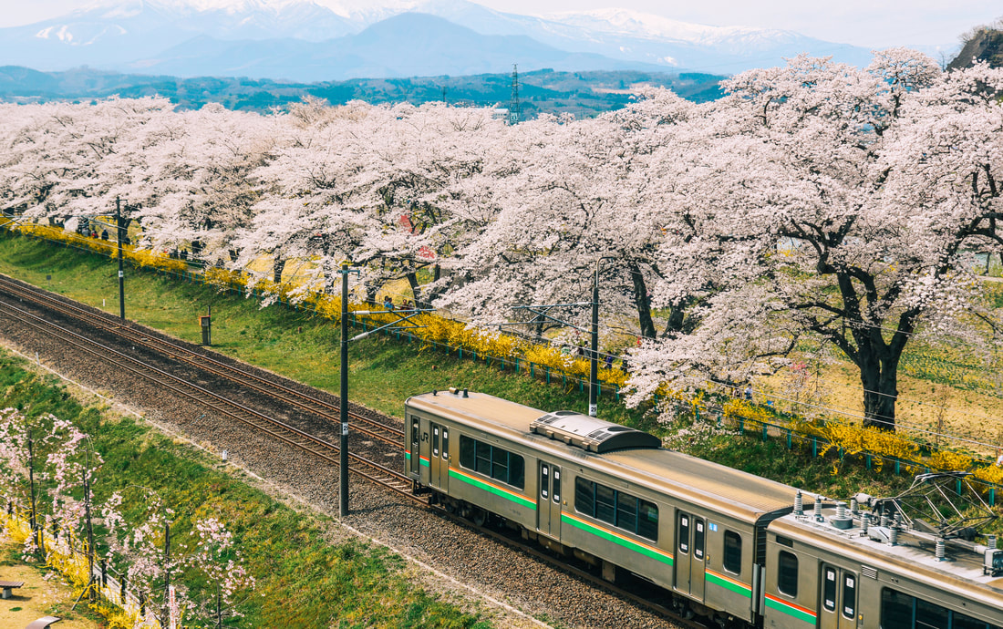 Japanese train 